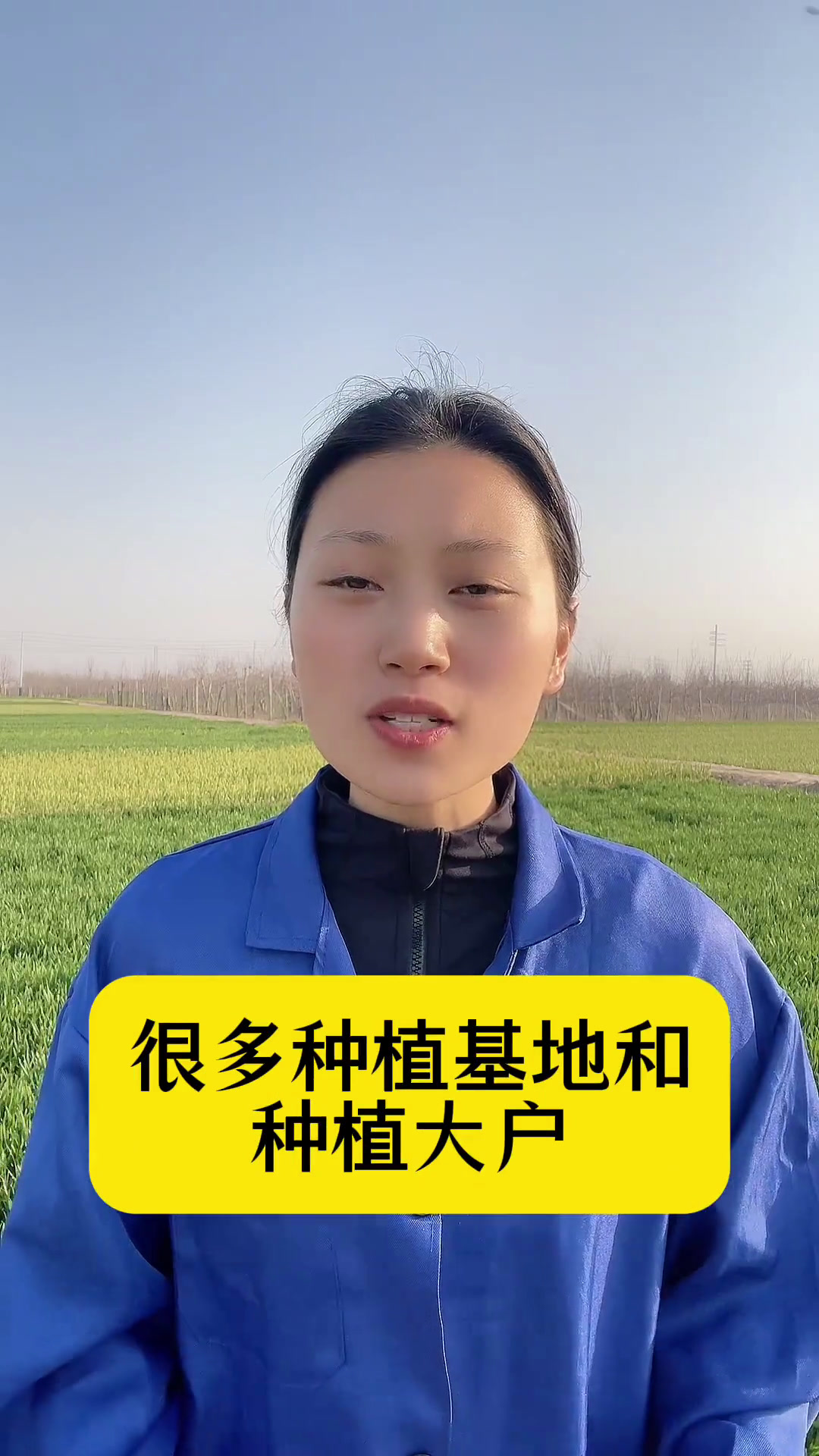 大豆种植技巧(大豆栽培技术种植方法)