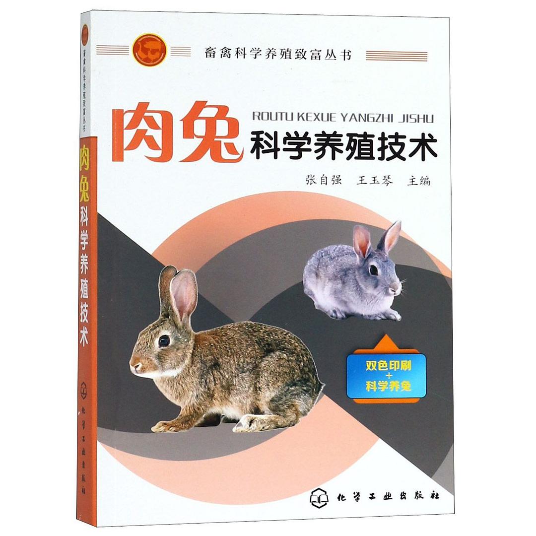 肉兔养殖技术方法(肉兔养殖技术方法视频)