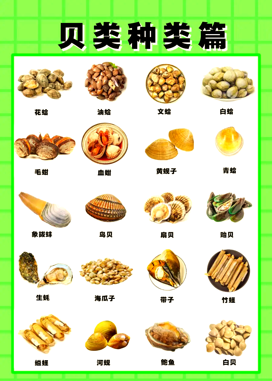 贝类是怎么繁殖的(贝类是怎么繁殖的是怎么繁殖的)