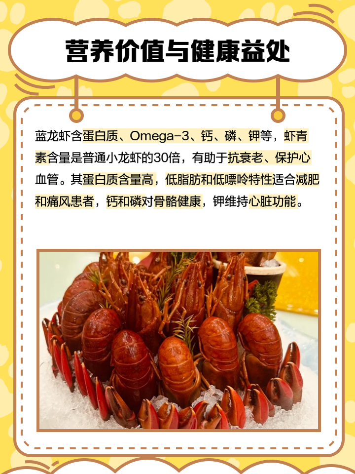 澳洲蓝龙虾养殖技术大全(澳洲蓝龙虾养殖前景)