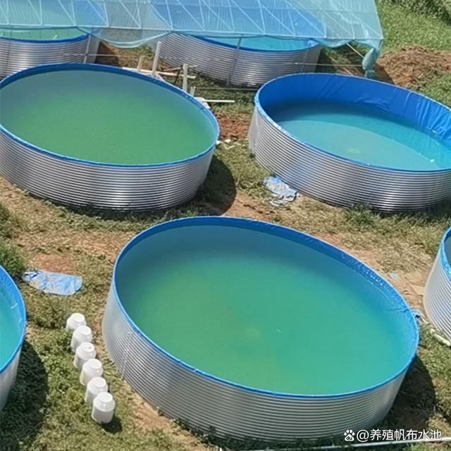 帆布水池养殖黑鱼技术(帆布水池养殖黑鱼技术要求)