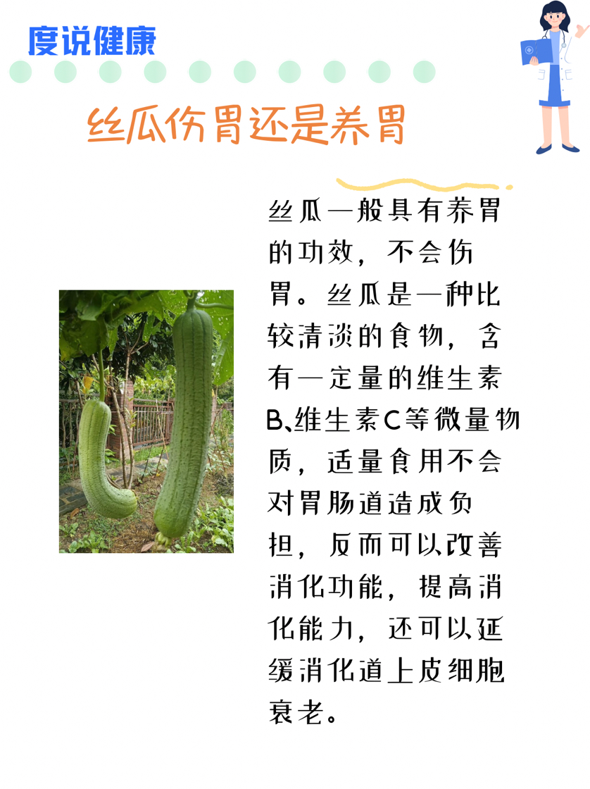 丝瓜怎样护理(丝瓜应该怎样管理)