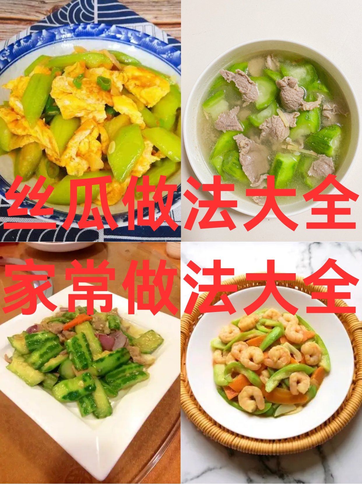 丝瓜怎样护理(丝瓜应该怎样管理)