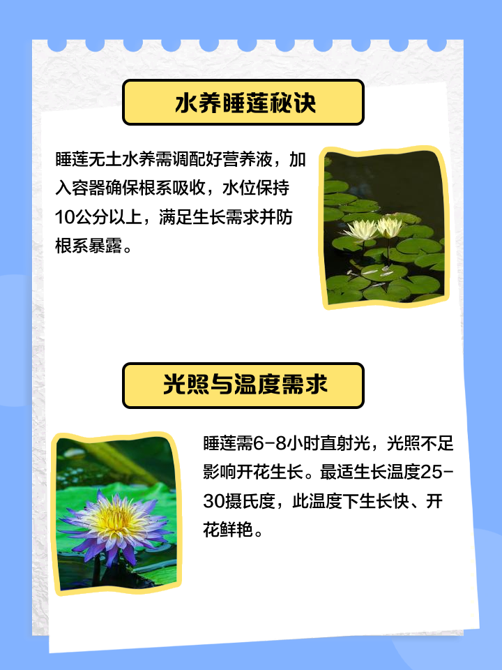 睡莲养殖方法(睡莲养殖方法及注意事项)