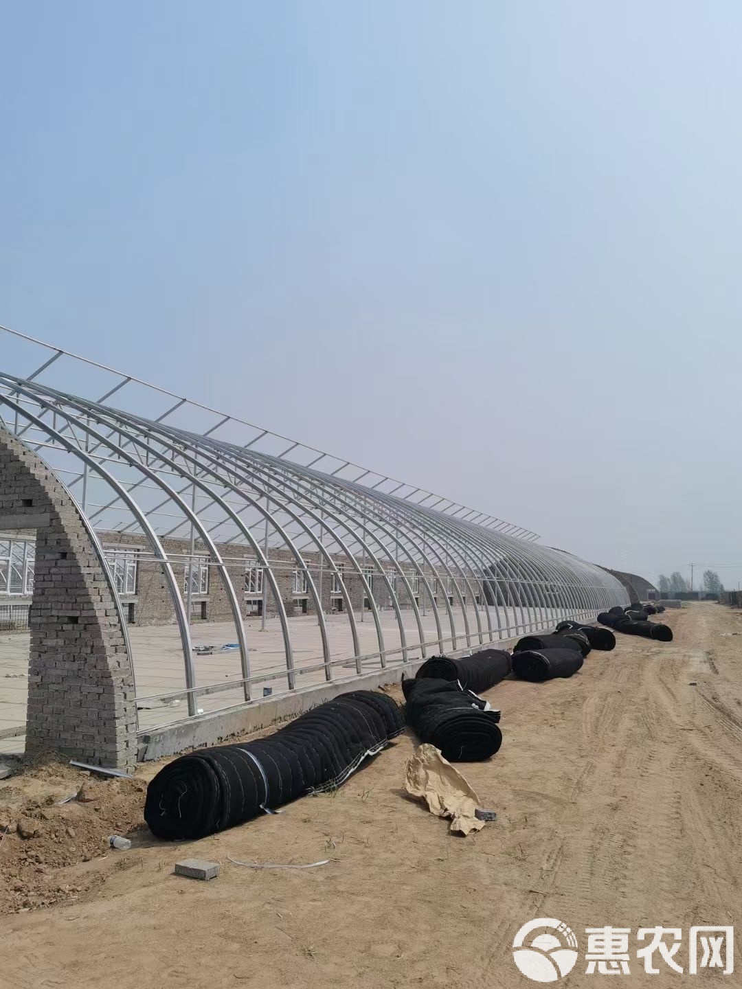温室鸡养殖(养鸡温室设计与建造视频)