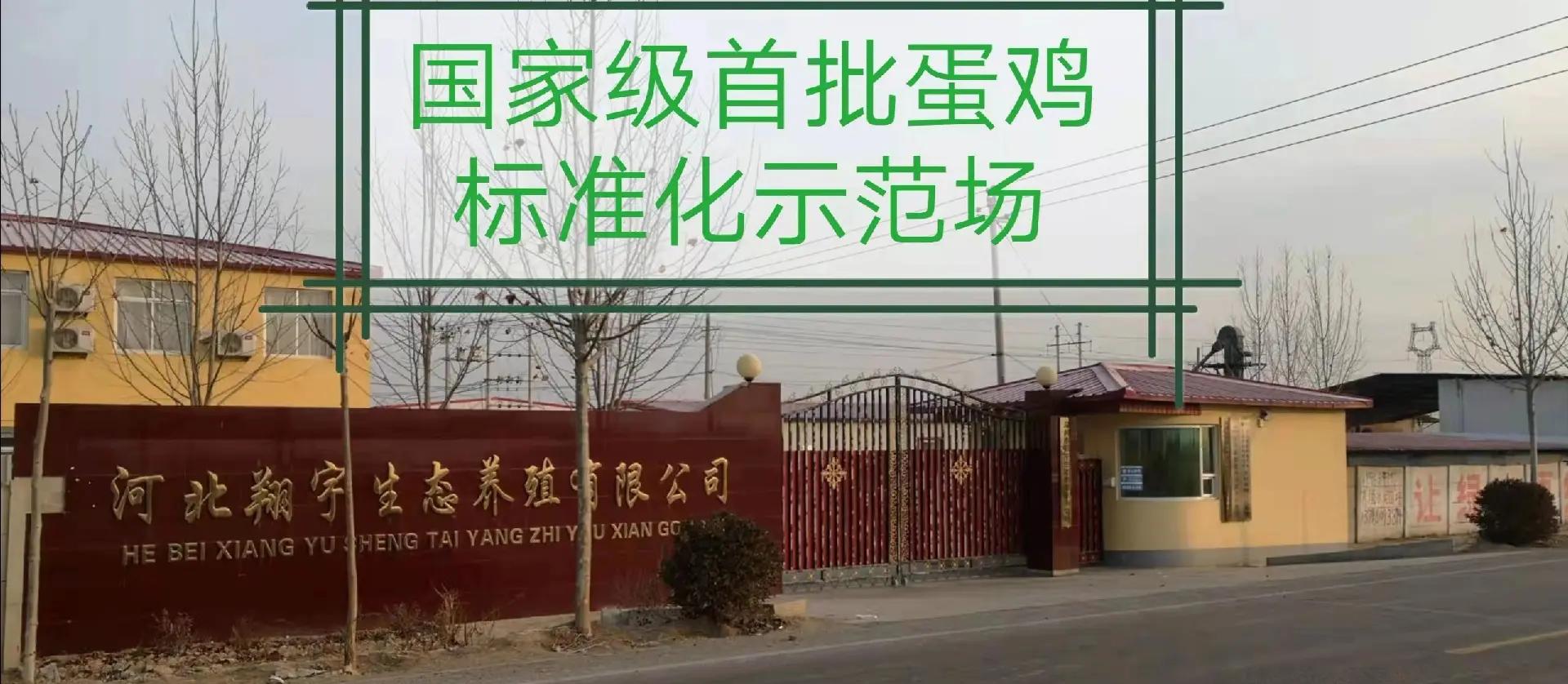 肉鸡饲养,蛋鸡饲养企业,,1.24,2,低,培育词的简单介绍