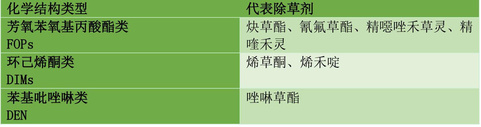 玉米种植计划表(玉米种植计划方案)