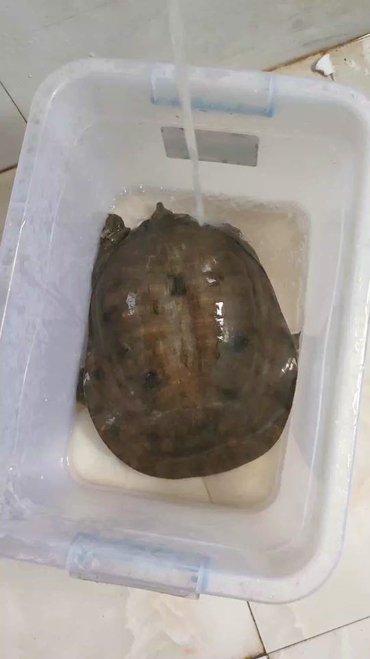 圆桶水产养殖(养殖圆桶厂家直销)