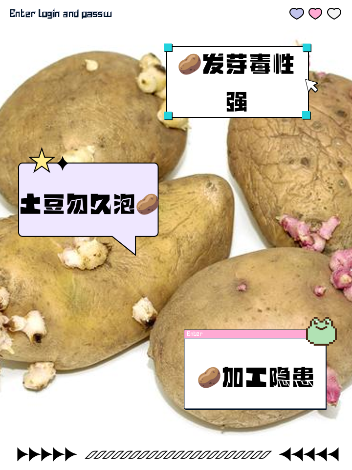 土豆不能和什么一起种植(不能种在一起的蔬菜明细表)