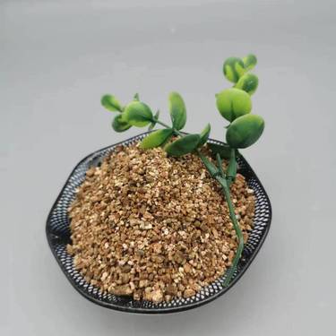 用蛭石育苗(用蛭石育苗需要浸泡吗)