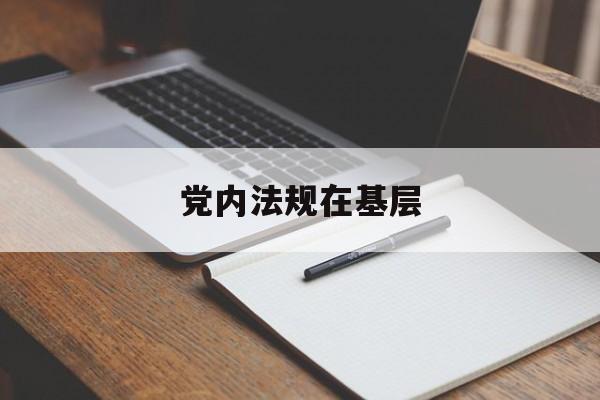党内法规在基层(党内法规基层联系点 观察员)